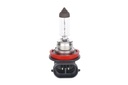 Bulb, front fog light