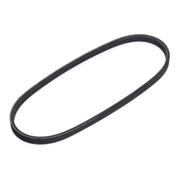 V-ribbed Belt