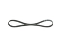 V-ribbed Belt