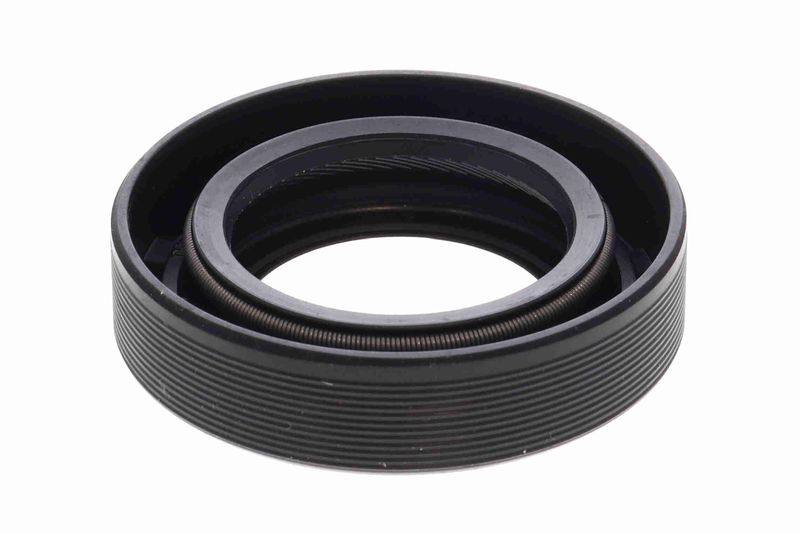 Shaft Seal, differential