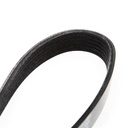 V-ribbed Belt