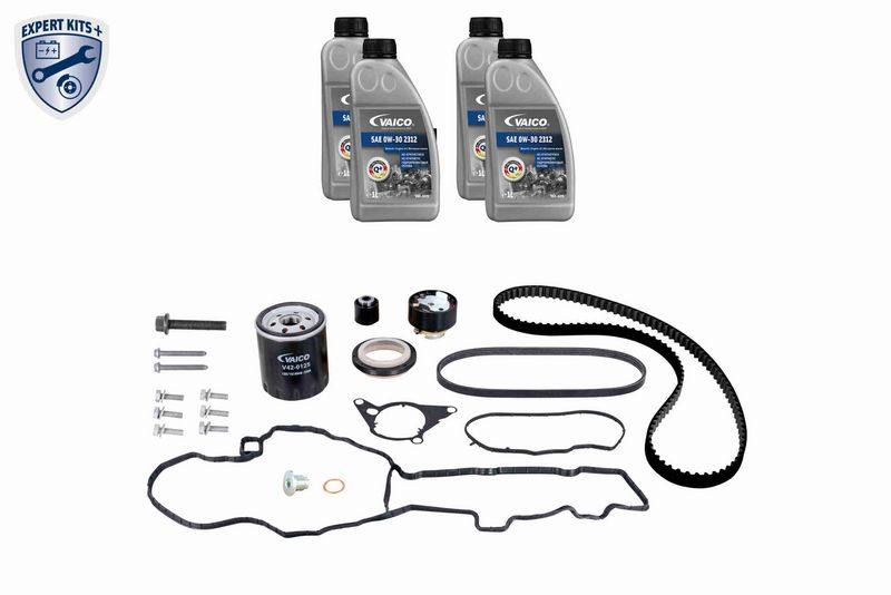 Timing Belt Kit