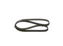 V-ribbed Belt