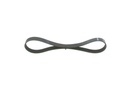 V-ribbed Belt