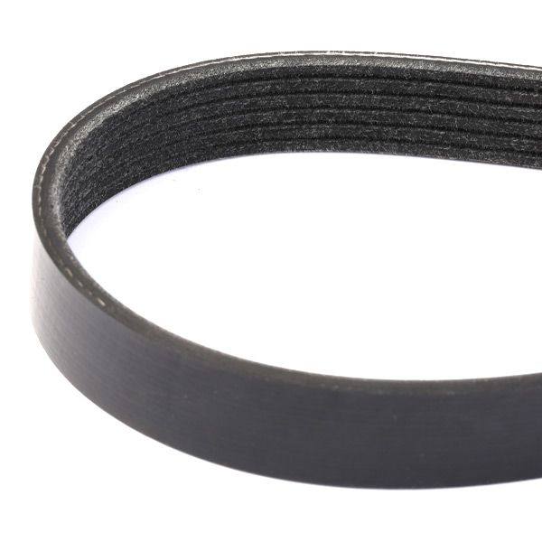 V-ribbed Belt
