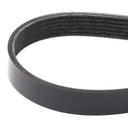 V-ribbed Belt