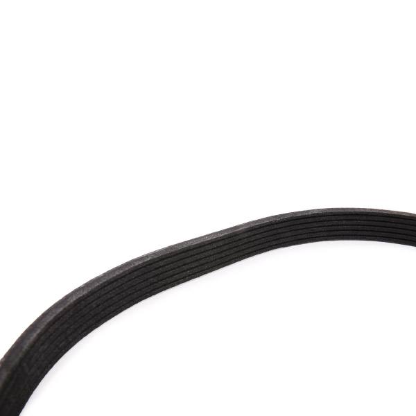 V-ribbed Belt