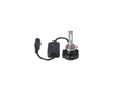 Bulb, front fog light