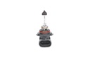 Bulb, front fog light