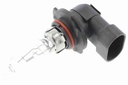 Bulb, front fog light
