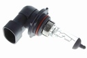 Bulb, front fog light