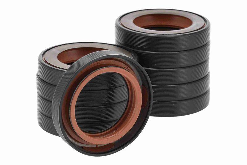 Shaft Seal, differential