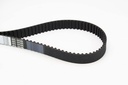 Timing Belt