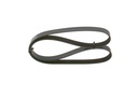 V-ribbed Belt