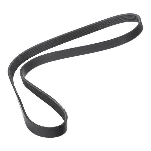 V-ribbed Belt