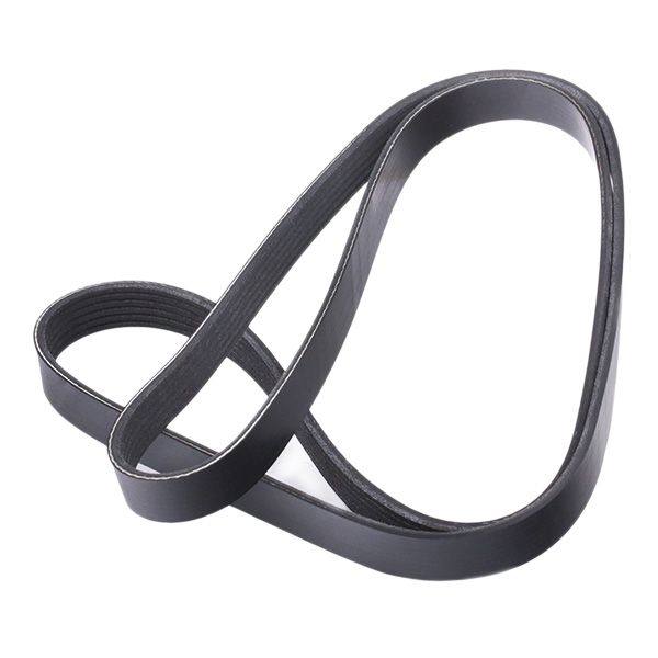 V-ribbed Belt
