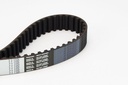 Timing Belt