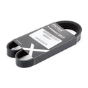V-ribbed Belt