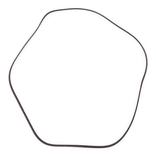 V-ribbed Belt
