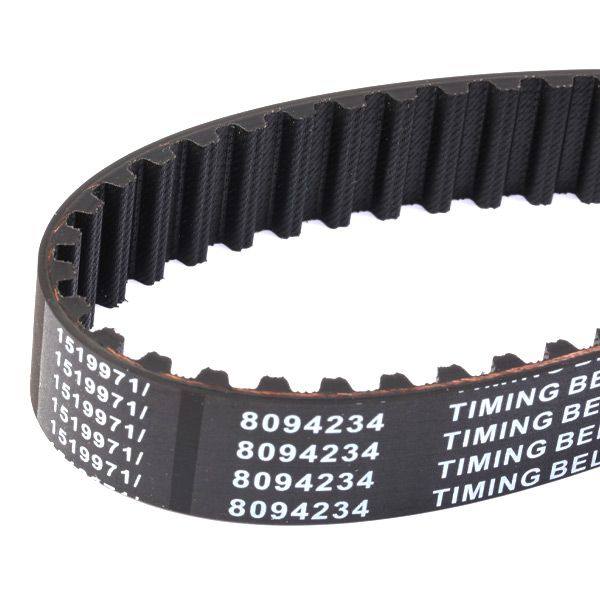 Timing Belt