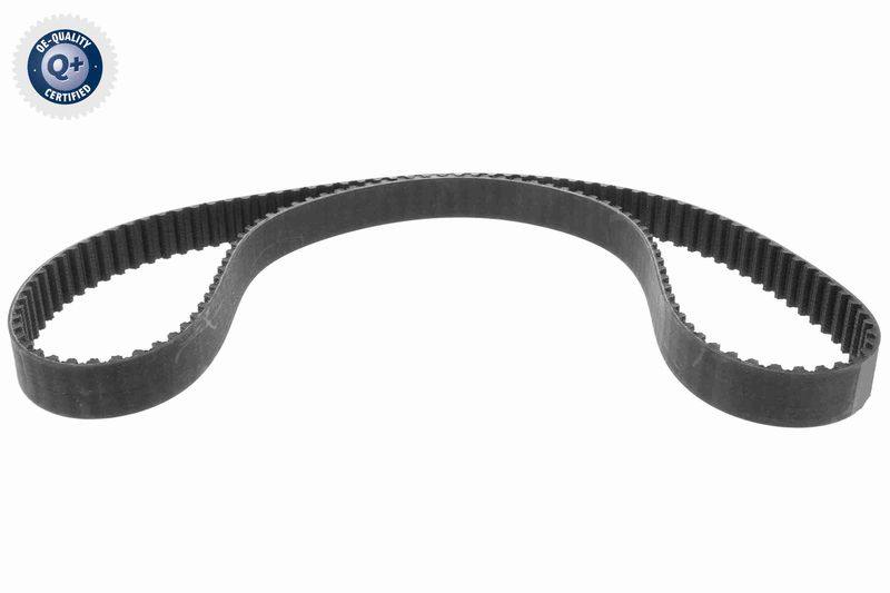 Timing Belt