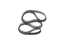 V-ribbed Belt