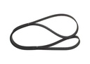 Timing Belt