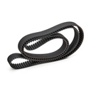 Timing Belt