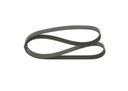 V-ribbed Belt