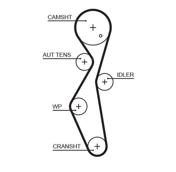 Timing Belt