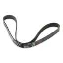 V-ribbed Belt