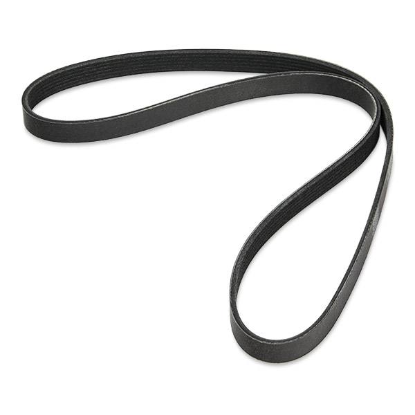 V-ribbed Belt