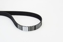 Timing Belt