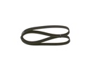 V-ribbed Belt