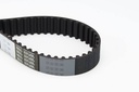 Timing Belt