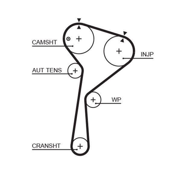 Timing Belt