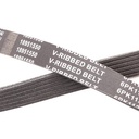 V-ribbed Belt