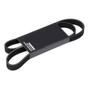 V-ribbed Belt
