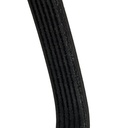 V-ribbed Belt