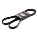 V-ribbed Belt