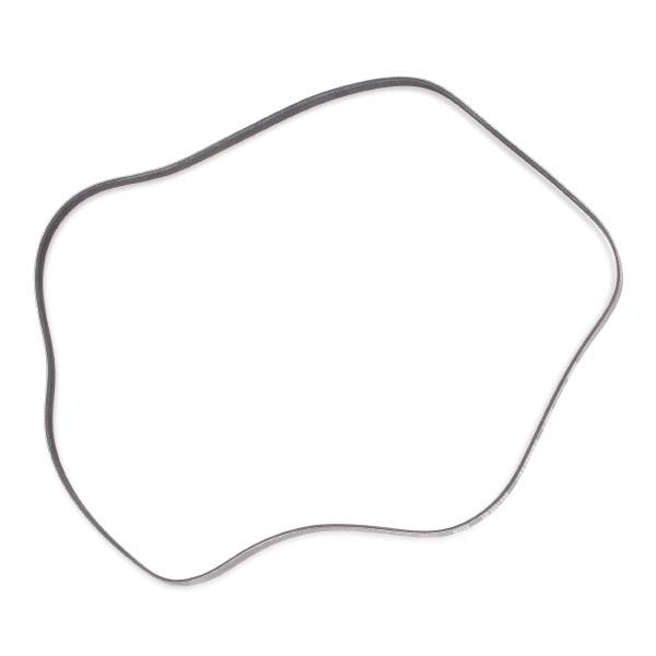 V-ribbed Belt