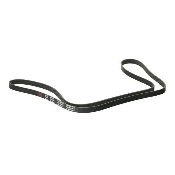 V-ribbed Belt