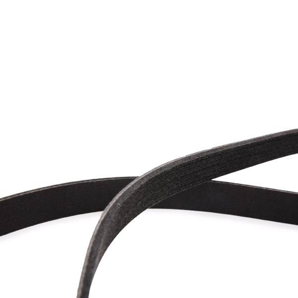 V-ribbed Belt