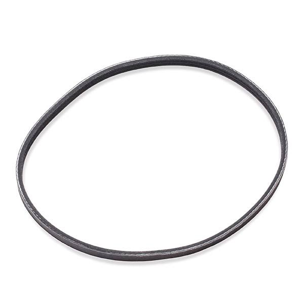 V-ribbed Belt