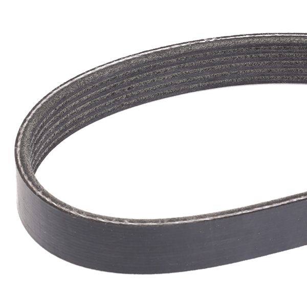 V-ribbed Belt