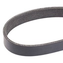 V-ribbed Belt