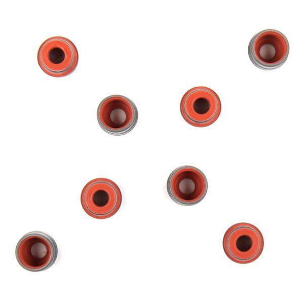 Seal Set, valve stem