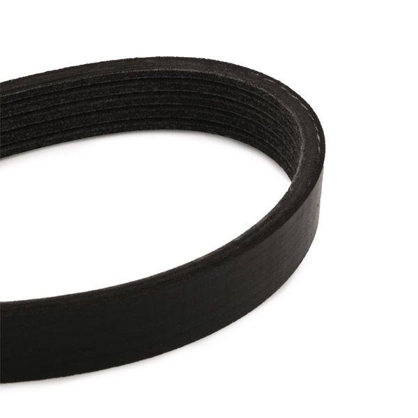 V-ribbed Belt