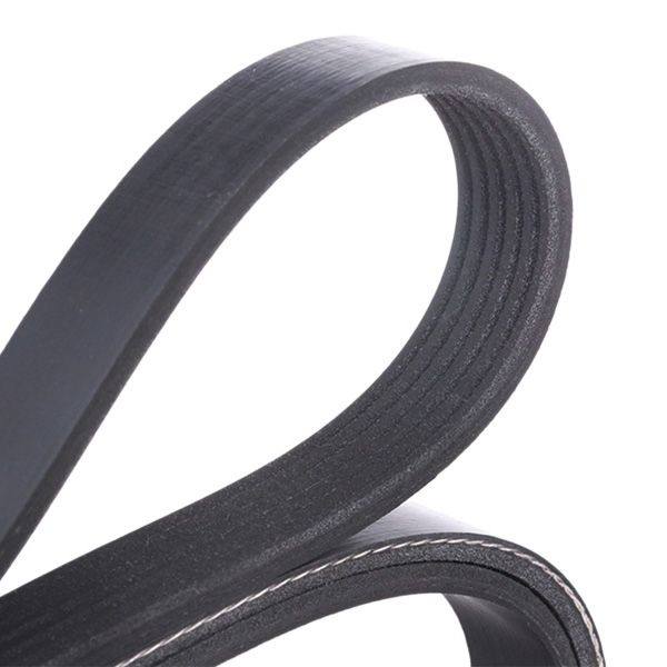 V-ribbed Belt