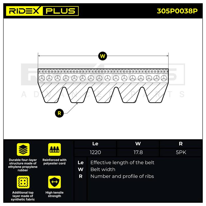 V-ribbed Belt